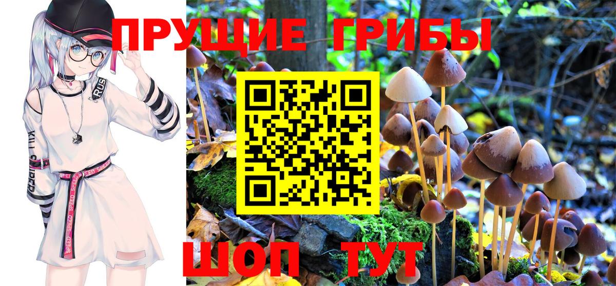Псилоцибиновые грибы MAGIC MUSHROOMS Тимашёвск